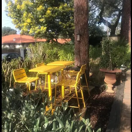 Le Ponton, Douces * La Teste-de-Buch