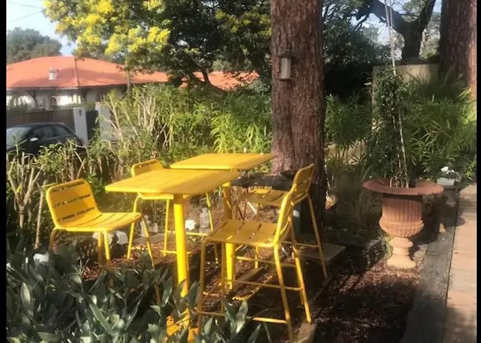 Le Ponton, Douces * La Teste-de-Buch